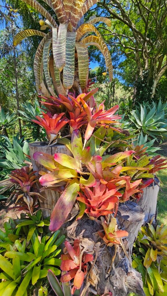 Parque Uaná Etê