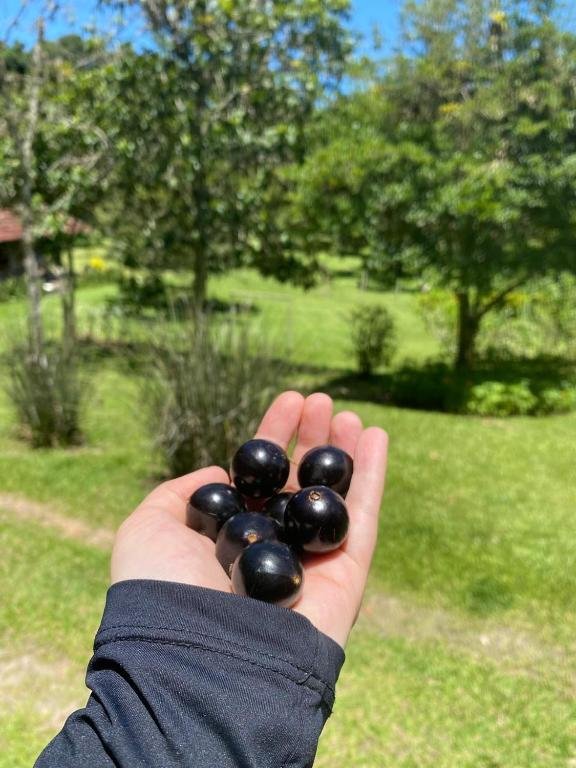 Bocaina Sítio da Vovó