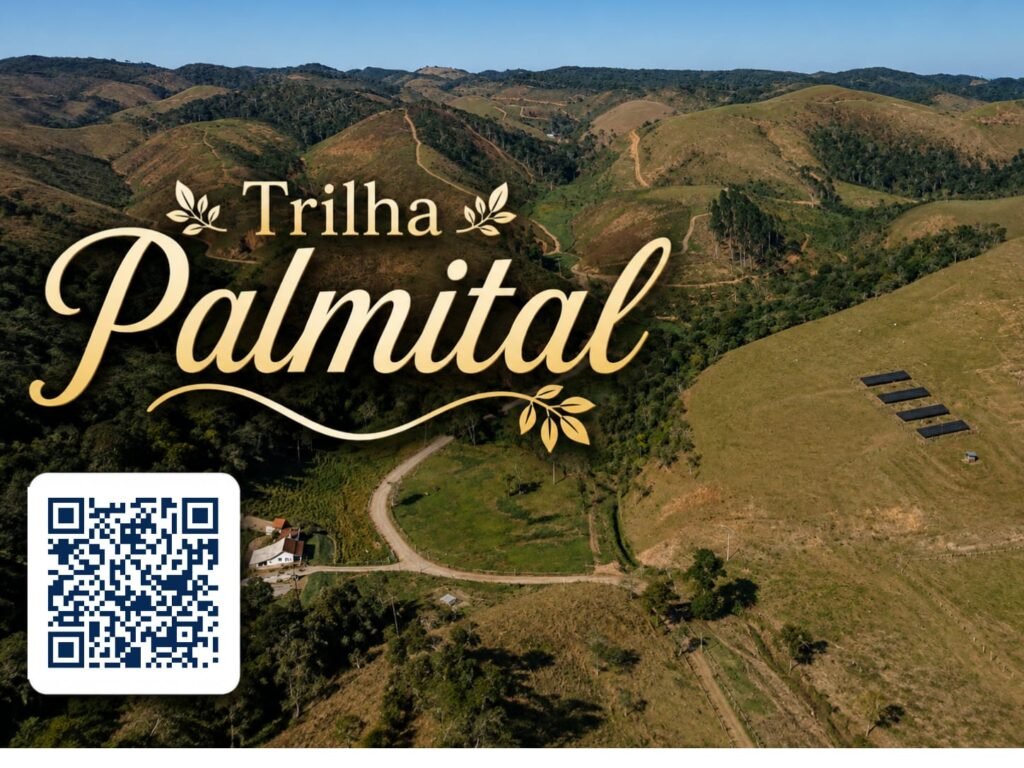 Trilha Palmital