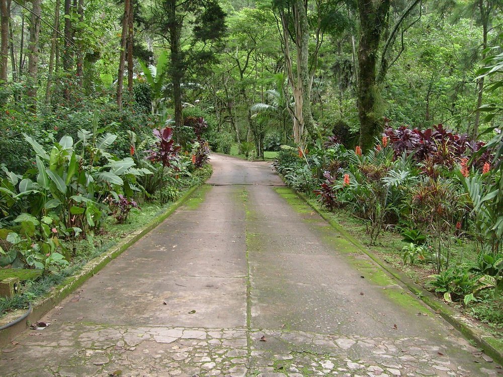 Pousada Green Garden